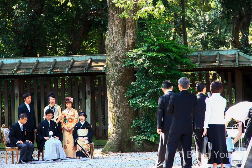 原宿景點 明治神宮散策 散步在古參木道 野餐在一片大草原 Bringyou