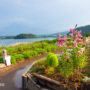 【富士山河口湖景點】河口湖北岸「大石公園」，騎腳踏車來看薰衣草