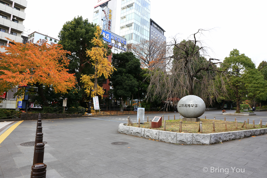 東京上野公園楓葉