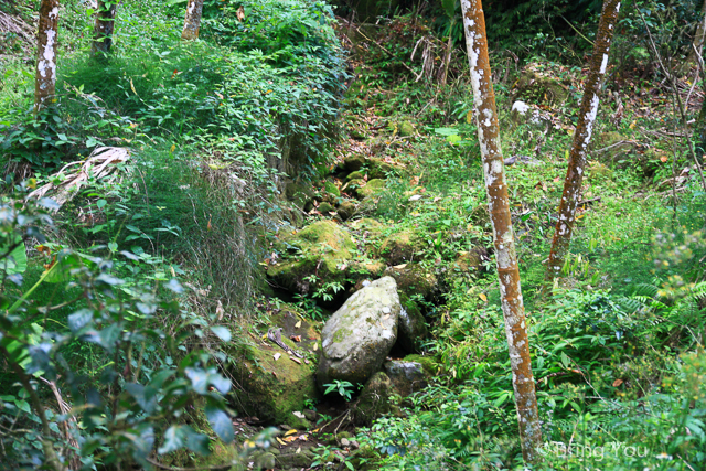 關子嶺大棟山-11