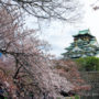 【大阪城公園】大阪城天守閣參觀重點、西之丸庭園賞櫻、楓葉特輯（大阪周遊卡免費）