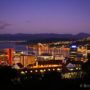 【威靈頓景點】威靈頓植物園Wellington Botanic Garden、卡特天文台夜景觀星去！