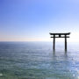 【日本滋賀】近江高島 白鬚神社一日遊：琵琶湖中夢幻鳥居（計程車、腳踏車等交通方式）