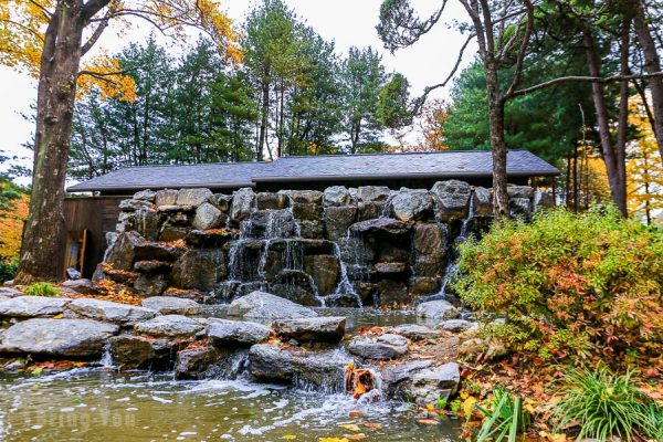 Is It Worth Visiting Nami Island? Here’s How to Plan a Day Trip Like a ...