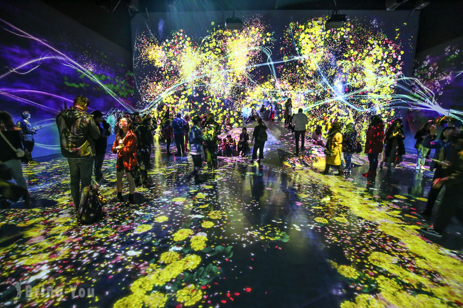 teamLab Borderless Tokyo: Personal Experience, Best Route to Visit ...