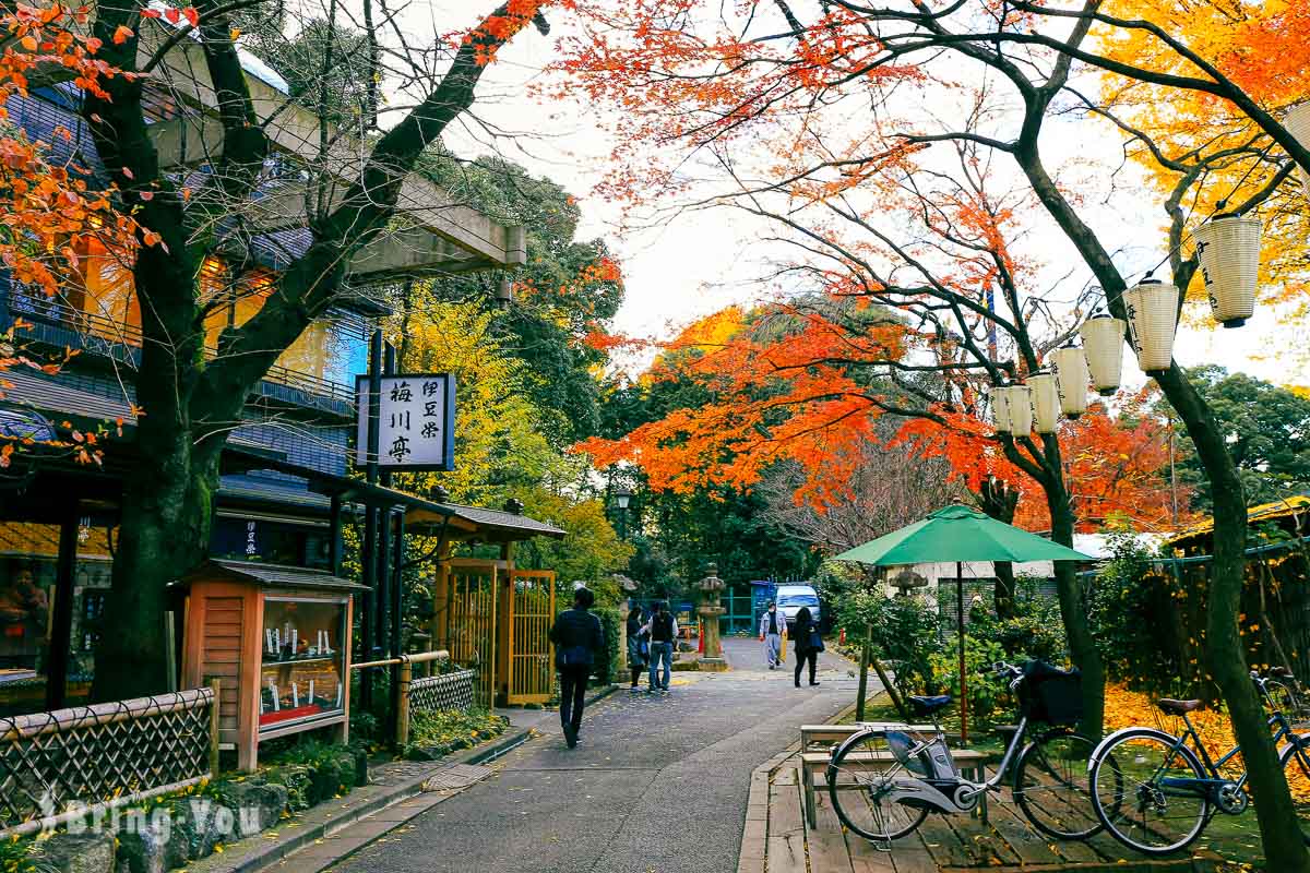 东京上野恩赐公园景点攻略：秋季银杏赏枫散策，博物馆、神社等景点介绍