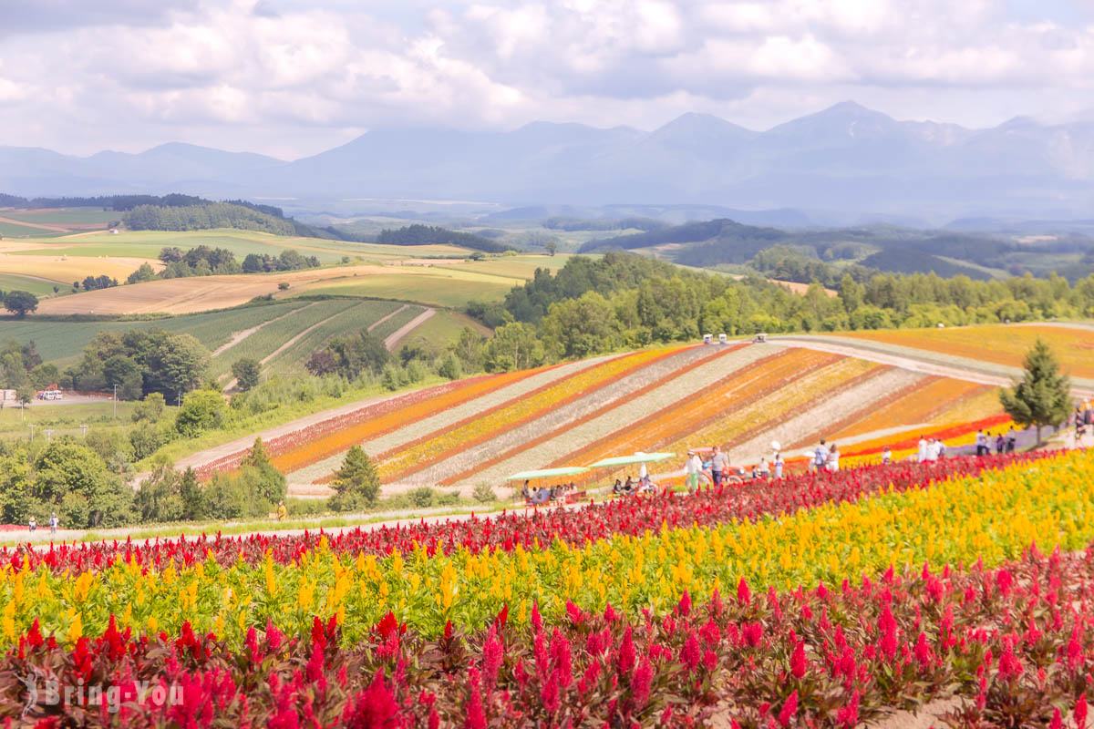 An Ultimate Hokkaido Travel Guide In 2024: Transportation & Sample Itinerary