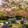 【日本三景】松島一日遊：仙台出發交通、松島必去景點、美食餐廳推薦、楓紅美景