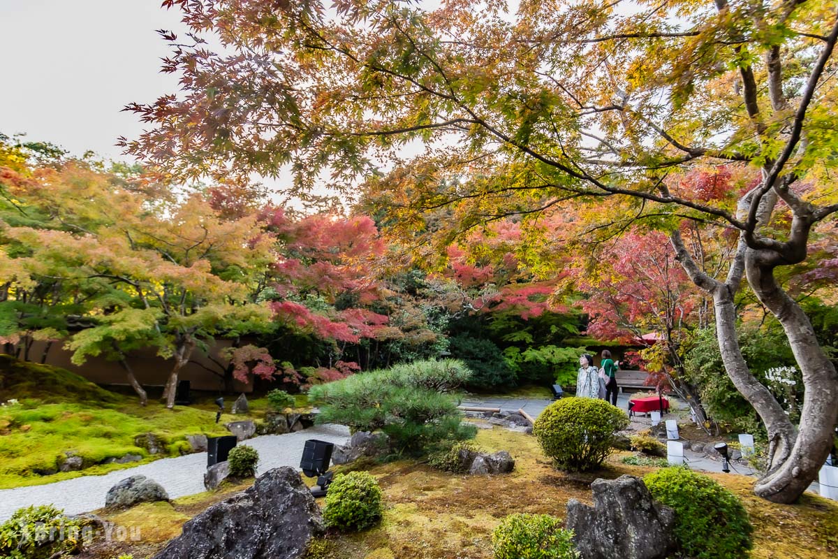 【日本三景】松島一日遊：仙台出發交通、松島必去景點、美食餐廳推薦、楓紅美景