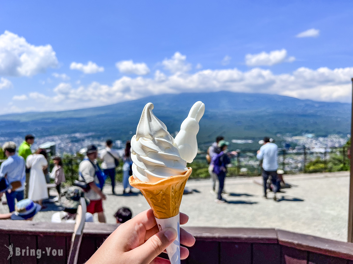 河口湖富士山全景纜車 & 天上山公園必玩攻略：票價、交通、纜車排隊、鞦韆