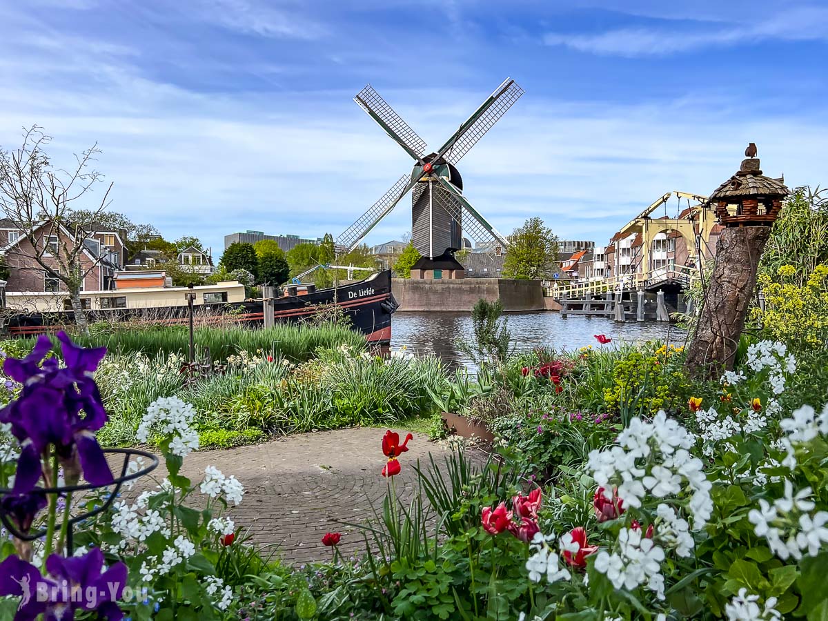 【荷蘭】萊登一日遊 Leiden：萊登景點之走訪浪漫的大學城